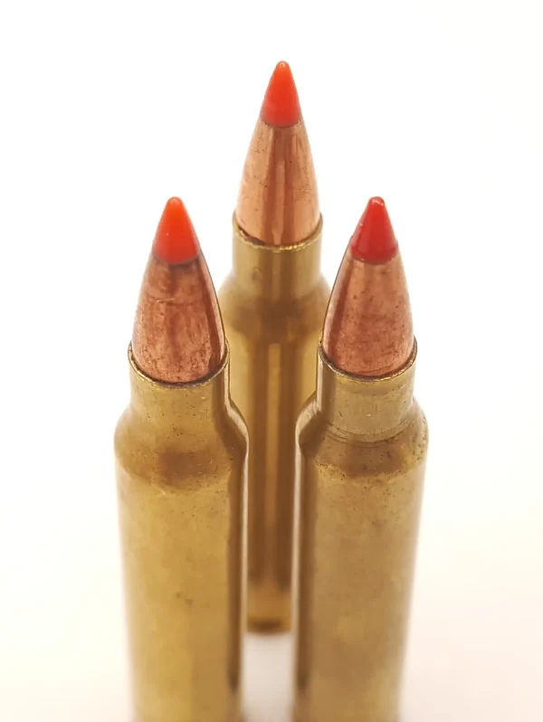 .223 CALIBER 55GR BALLISTIC TIP VARMINT