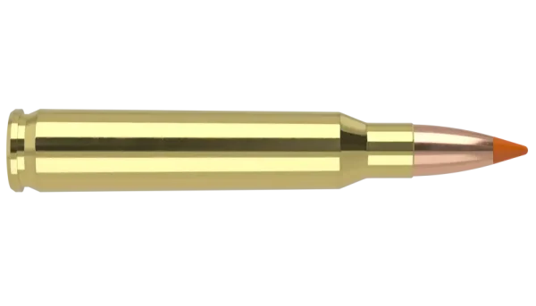 .223 CALIBER 55GR BALLISTIC TIP VARMINT