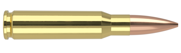 308 Win 168gr Custom Competition Match Grade Ammunition